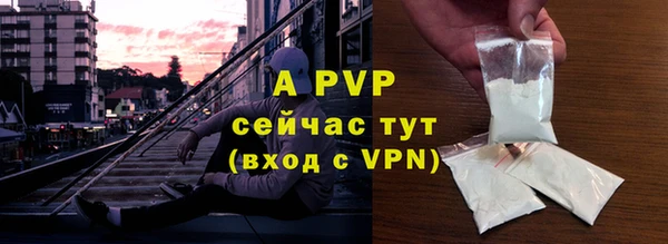 дмт Белокуриха