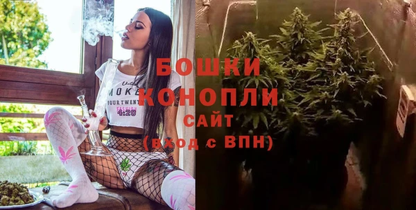 ПСИЛОЦИБИНОВЫЕ ГРИБЫ Приозерск