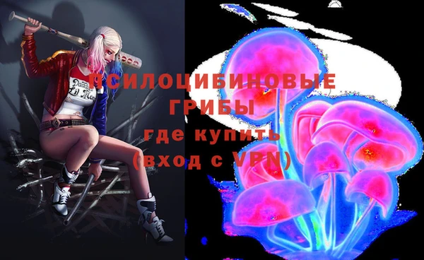дмт Белокуриха