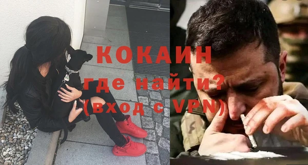 дмт Белокуриха