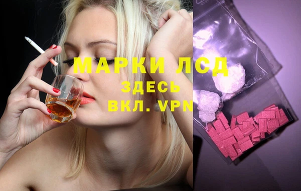 дмт Белокуриха