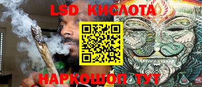 spice Славгород