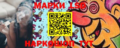 spice Славгород
