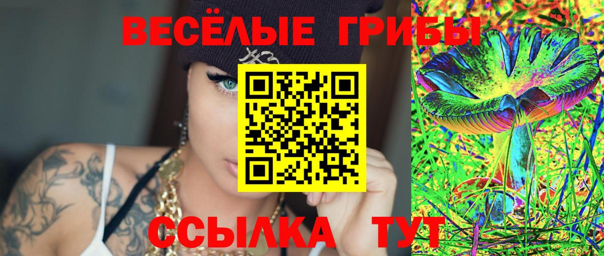 Соль-Илецк  Галлюциногенные грибы GOLDEN TEACHER  Вход с VPN  Псилоцибиновые грибы мицелий 