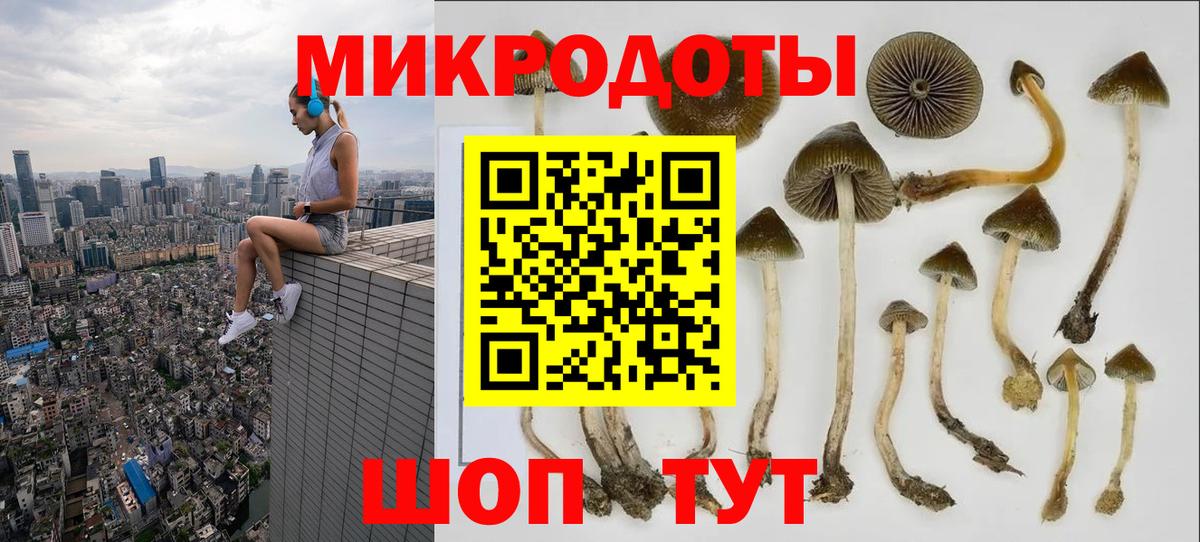 Псилоцибиновые грибы мухоморы Соль-Илецк